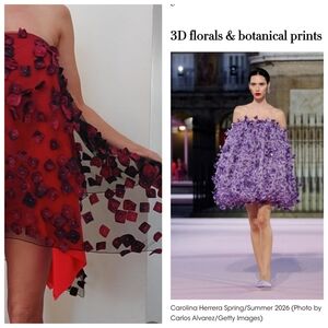 Nwt H Lorenzo Magid Bernard Hand Painted Red Applique Sheer Dresd Or skirt S 2/4